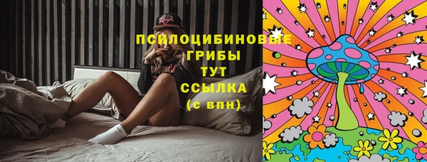 прущий лед Ладушкин