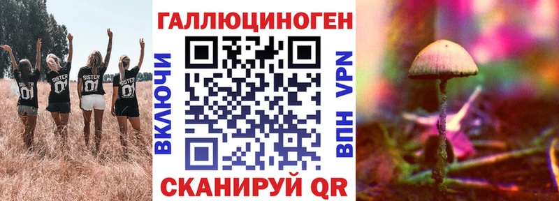 Галлюциногенные грибы Cubensis  Луза 