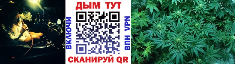 shop наркотические препараты  Луза  Канабис планчик  наркота 